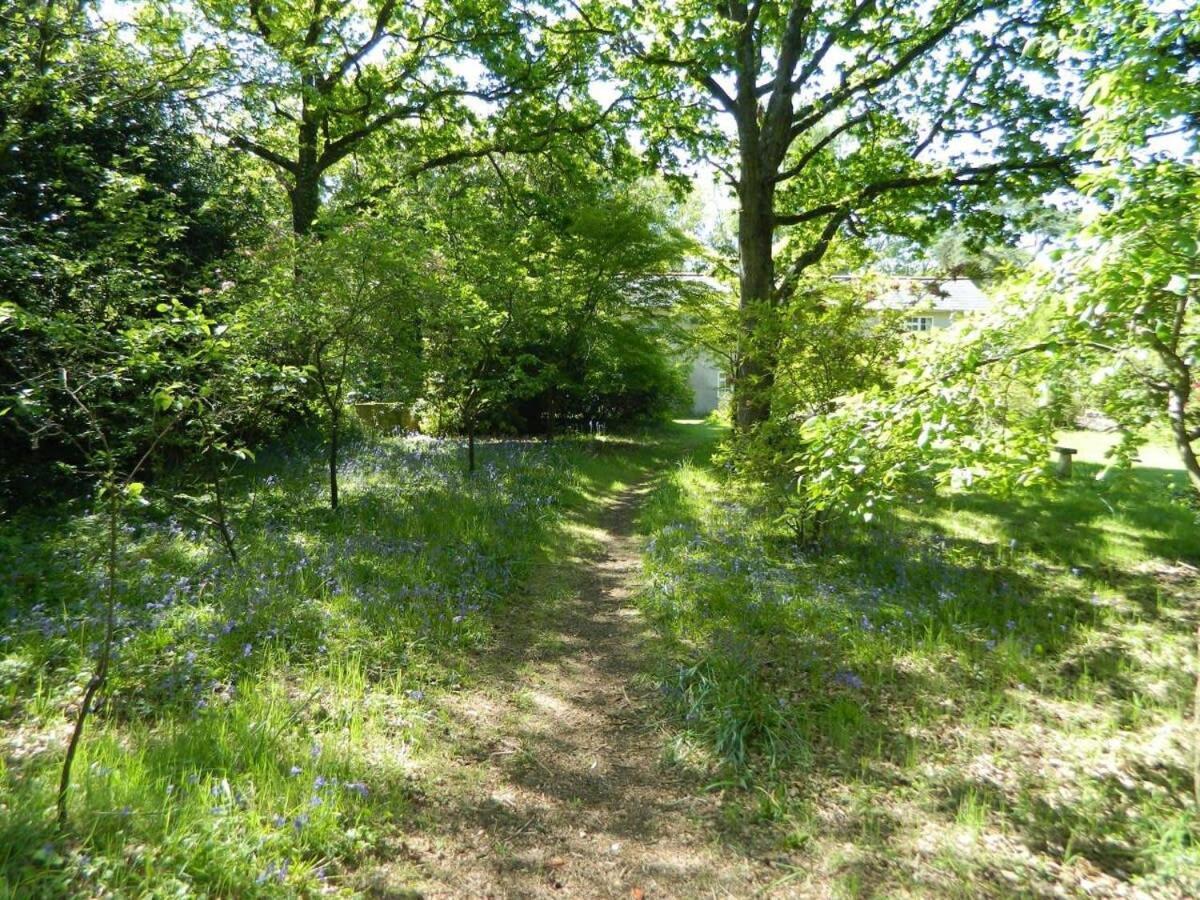 River Cottage A Country Retreat In Wooded Gardens East Stoke  Eksteriør billede