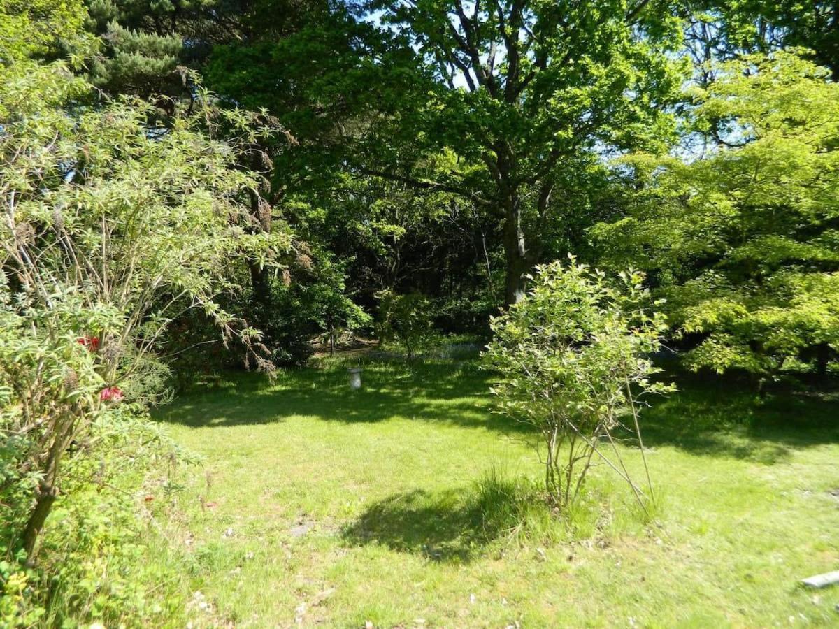 River Cottage A Country Retreat In Wooded Gardens East Stoke  Eksteriør billede