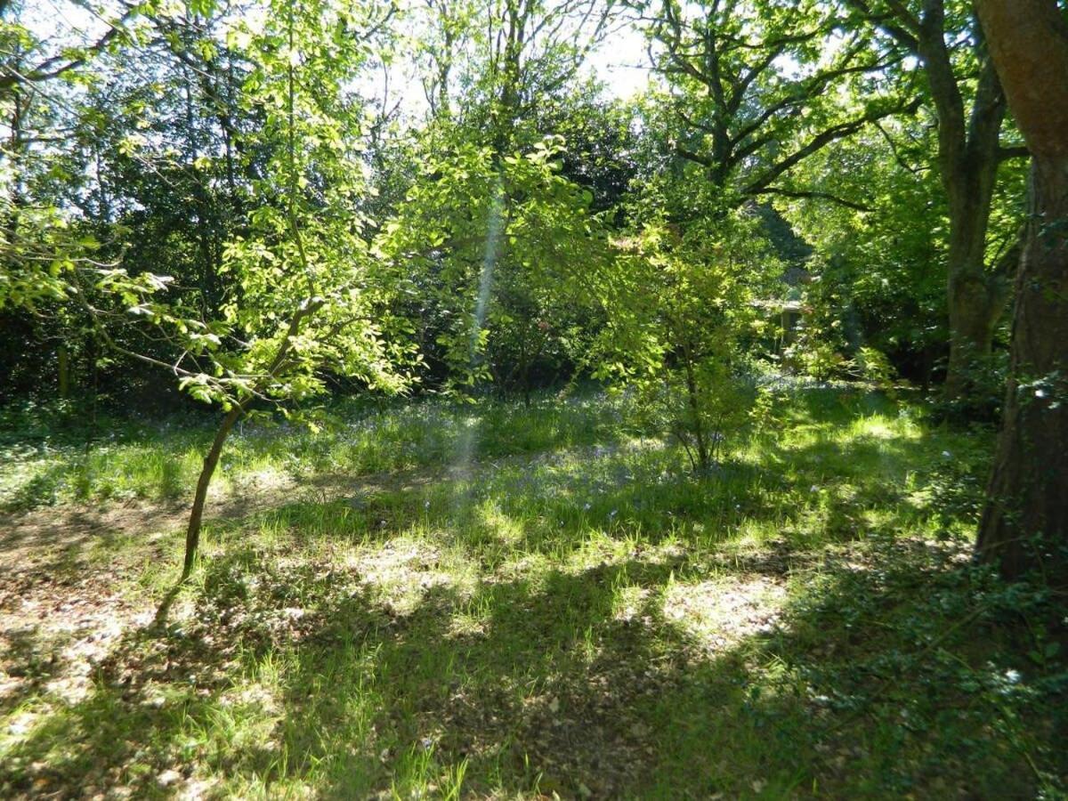 River Cottage A Country Retreat In Wooded Gardens East Stoke  Eksteriør billede